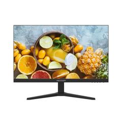  Màn Hình Hikvision Ds-d5024fn10 