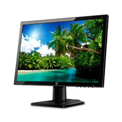  Màn Hình Hp 19.5 Inch Hd 20kd T3u84aa 