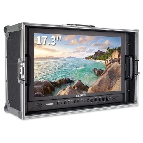 Màn Hình Seetec P173-9hsd-co 17.3 Inch 1920x1080