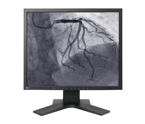 Màn Hình Y Tế EIZO CuratOR LS1910