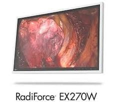  Màn Hình Y Tế EIZO RadiForce  EX270W 