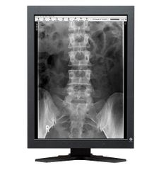  Màn Hình Y Tế EIZO RadiForce GS220 