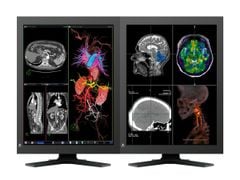  Màn Hình Y Tế Eizo Radiforce RX320 