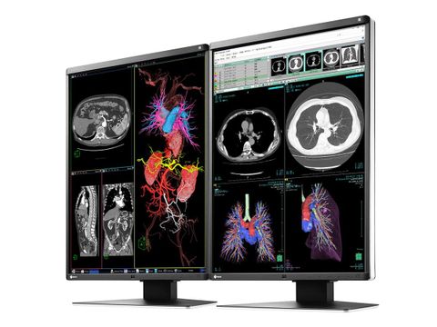 Màn Hình Y Tế Eizo RadiForce RX350
