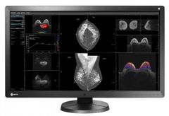  Màn Hình Y Tế EIZO RadiForce RX850 