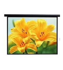  Màn chiếu điện Dalite 96 x 96 inch EA-96E 