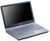 Màn Hình Lcd Sony Vaio Sve-15115Eg/P