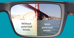  Mắt kính phân cực Polarized là gì? 