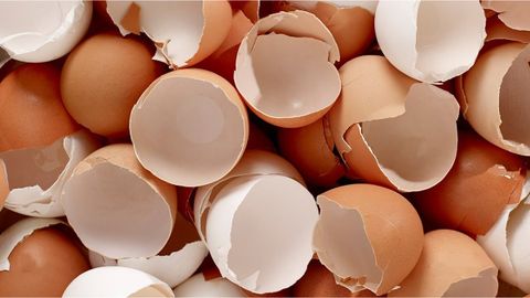 Vỏ trứng gà có tác dụng gì? Các cách sử dụng vỏ trứng gà khiến bạn bất ngờ