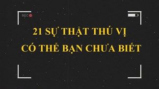 Có thể bạn chưa biết: Quả dừa nguy hiểm hơn cá mập, bật lửa phát minh ra trước quẹt diêm và loạt sự thật khác khiến bạn bất ngờ