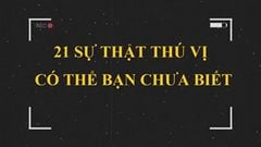  Có thể bạn chưa biết: Quả dừa nguy hiểm hơn cá mập, bật lửa phát minh ra trước quẹt diêm và loạt sự thật khác khiến bạn bất ngờ 