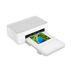  Máy In Ảnh Mini Bỏ Túi Xiaomi Mijia 1s 