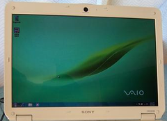  Sony Vaio Vgn-Cs115D/R 