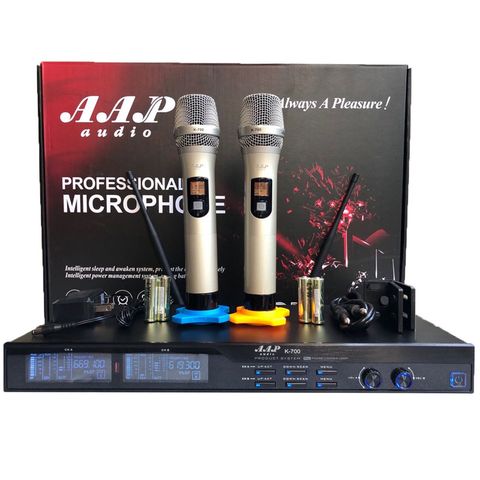 Micro Không Dây Aap K700