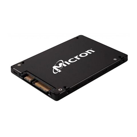 Micron 1100 2.5