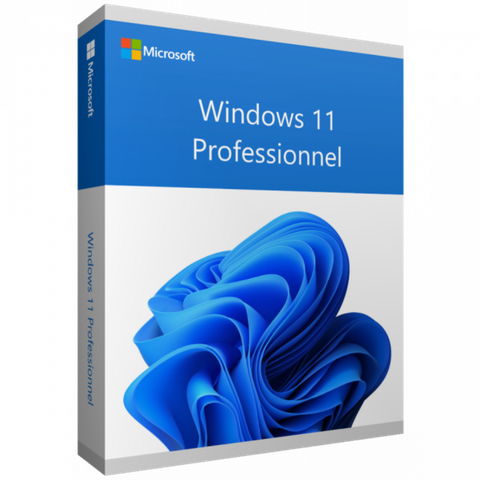 Phần mềm Microsoft Windows Pro 11 64Bit FQC-10528