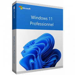  Phần mềm Microsoft Windows Pro 11 64Bit FQC-10528 