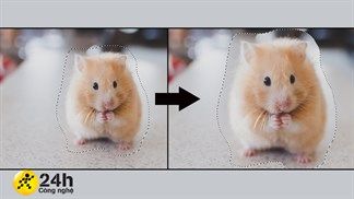 3 cách thay đổi kích thước vùng chọn trong Photoshop cực dễ, cần thiết cho những ai đang học chỉnh ảnh