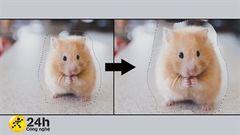  3 cách thay đổi kích thước vùng chọn trong Photoshop cực dễ, cần thiết cho những ai đang học chỉnh ảnh 