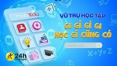  MobiEdu: Giải pháp học tập trực tuyến chất lượng cao, cùng nhiều ưu đãi hấp dẫn dành cho học sinh phổ thông từ lớp 1 đến lớp 12 