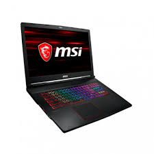  Msi Gaming Ge73 8Re-466Es Raider Rgb 