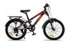 Xe đạp địa hình MTB Fornix W20 20 inch Đen xanh lá