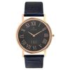 Đồng hồ Nữ Skagen SKW2140