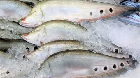3 Cách rút xương cá thác lác nhanh gọn, dễ dàng đảm bảo sạch hết xương