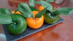  2 cách làm bánh bao quả cam, bánh bao quả quýt mềm xốp đơn giản tại nhà 