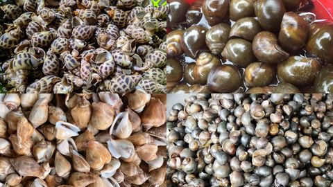 Hướng dẫn chi tiết cách luộc ốc ngon, không đứt ruột cực đơn giản