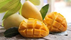  Hướng dẫn cách bảo quản xoài tươi ngon, lâu hư an toàn và hiệu quả nhất 