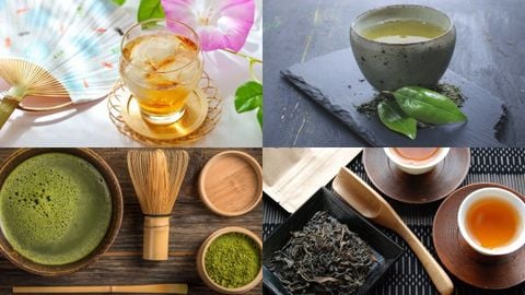 Tổng hợp các loại trà xanh Nhật Bản, trà túi lọc được phổ biến nhất