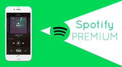  Cách hủy gói Spotify Premium trên điện thoại đơn giản, nhanh chóng 