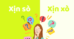  Xịn sò hay xịn xò, từ nào mới là đúng chính tả? Câu trả lời đúng nhất 