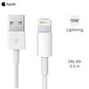 Máy tính bảng iPad 9 WiFi Cellular 256GB