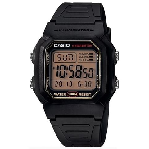 Đồng hồ Nam Casio W-800HG-9AVDF