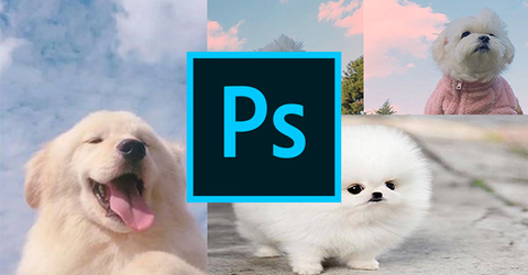 [Video] Cách ghép ảnh trong Photoshop, thoải mái ghép nhiều ảnh