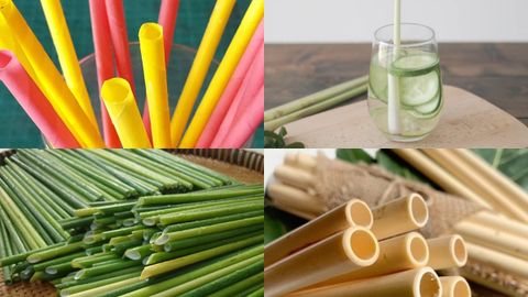 Cách làm ống hút thân thiện môi trường từ giấy, sả, cỏ bàng và tre tại nhà