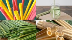  Cách làm ống hút thân thiện môi trường từ giấy, sả, cỏ bàng và tre tại nhà 