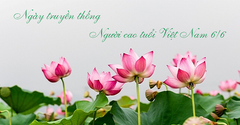  6/6 là ngày gì? Ý nghĩa Ngày truyền thống người cao tuổi Việt Nam 