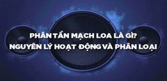  Phân tần loa là gì? Nguyên lý hoạt động và các loại phân tần mạch loa phổ biến hiện nay 