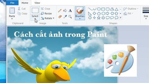 Cách cắt ảnh trong Paint trên Windows 7,8,10 nhanh, đơn giản