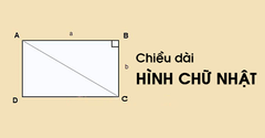  Công thức tính chiều dài hình chữ nhật có bài tập và lời giải dễ hiểu 