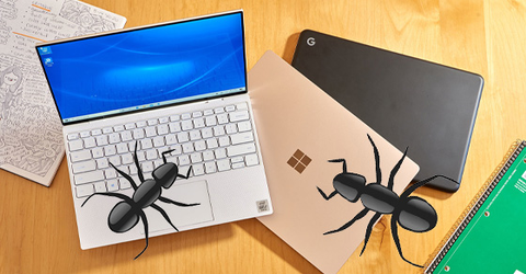 Kiến chui vào laptop, máy tính - Mẹo xử lý tại nhà thành công 100%