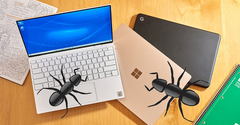  Kiến chui vào laptop, máy tính - Mẹo xử lý tại nhà thành công 100% 