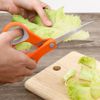 Kéo nhà bếp đa năng thép không gỉ 2Cr13 Delites S53014