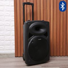  Loa Kéo Karaoke Enkor L1218K Đen 16W 