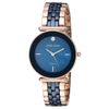 Đồng hồ Nam Skagen SKW6098