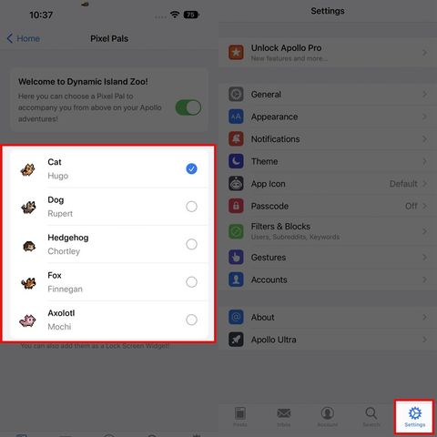 Mang Sở Thú Lên Dynamic Island Trên Iphone 14 Pro & Pro Max Siêu Dễ Thương