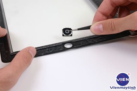 Nut Home Ipad Air